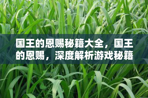 国王的恩赐秘籍大全，国王的恩赐，深度解析游戏秘籍与攻略秘籍