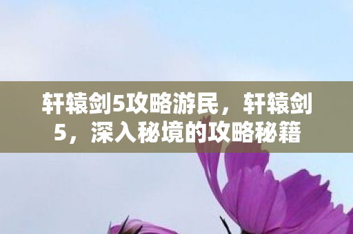 轩辕剑5攻略游民，轩辕剑5，深入秘境的攻略秘籍
