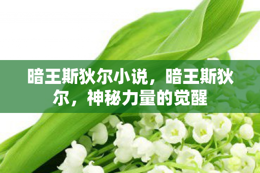 暗王斯狄尔小说，暗王斯狄尔，神秘力量的觉醒