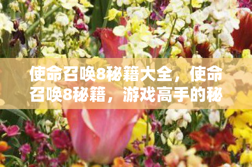 使命召唤8秘籍大全，使命召唤8秘籍，游戏高手的秘籍攻略大全