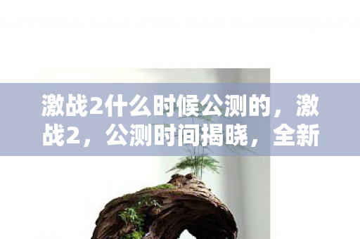 激战2什么时候公测的，激战2，公测时间揭晓，全新世界等你来战！