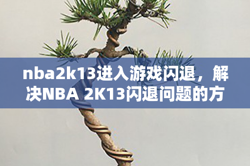 nba2k13进入游戏闪退，解决NBA 2K13闪退问题的方法