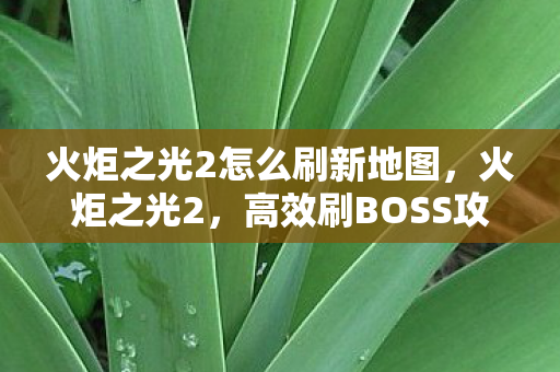 火炬之光2怎么刷新地图，火炬之光2，高效刷BOSS攻略指南