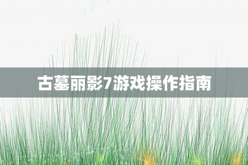 古墓丽影7游戏操作指南