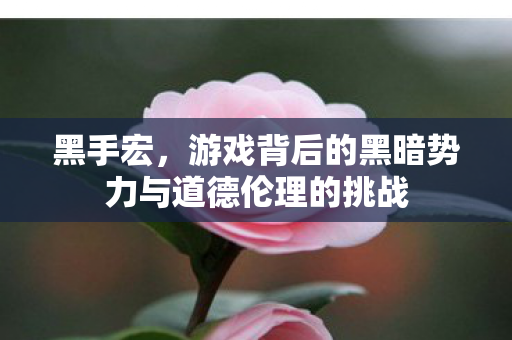 黑手宏，游戏背后的黑暗势力与道德伦理的挑战