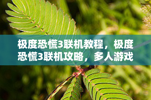 极度恐慌3联机教程，极度恐慌3联机攻略，多人游戏的新体验与挑战