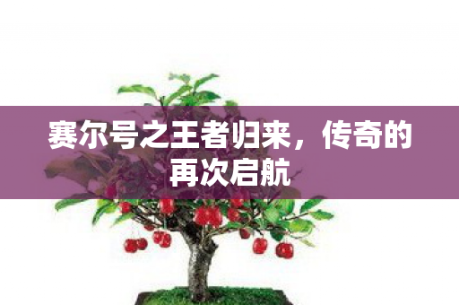 赛尔号之王者归来，传奇的再次启航