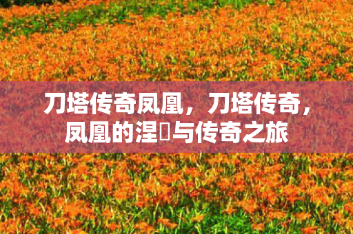 刀塔传奇凤凰，刀塔传奇，凤凰的涅槃与传奇之旅