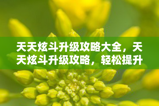 天天炫斗升级攻略大全，天天炫斗升级攻略，轻松提升战力，成为顶尖高手！