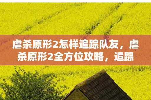 虐杀原形2怎样追踪队友，虐杀原形2全方位攻略，追踪与战斗技巧解析