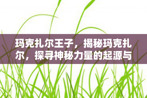 玛克扎尔王子，揭秘玛克扎尔，探寻神秘力量的起源与影响