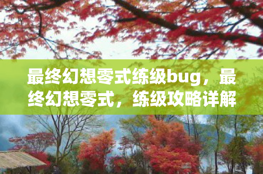 最终幻想零式练级bug，最终幻想零式，练级攻略详解