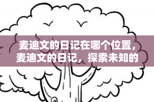 麦迪文的日记在哪个位置，麦迪文的日记，探索未知的旅程