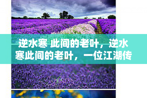 逆水寒 此间的老叶，逆水寒此间的老叶，一位江湖传奇人物的深度解析