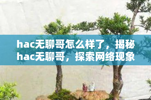 hac无聊哥怎么样了，揭秘hac无聊哥，探索网络现象背后的故事