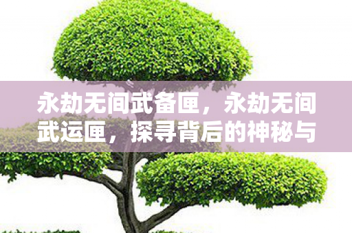 永劫无间武备匣，永劫无间武运匣，探寻背后的神秘与力量