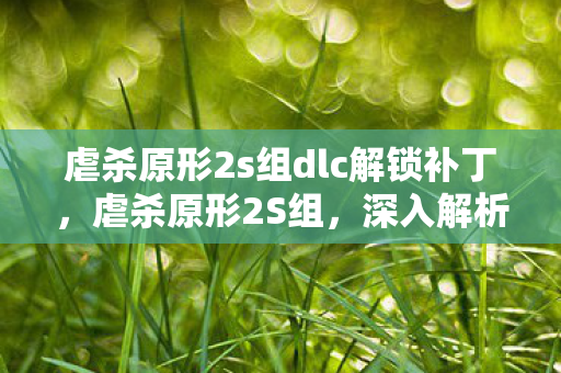 虐杀原形2s组dlc解锁补丁，虐杀原形2S组，深入解析游戏特色与独特魅力