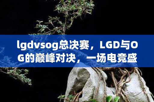 lgdvsog总决赛，LGD与OG的巅峰对决，一场电竞盛宴的解析