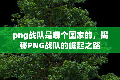 png战队是哪个国家的，揭秘PNG战队的崛起之路