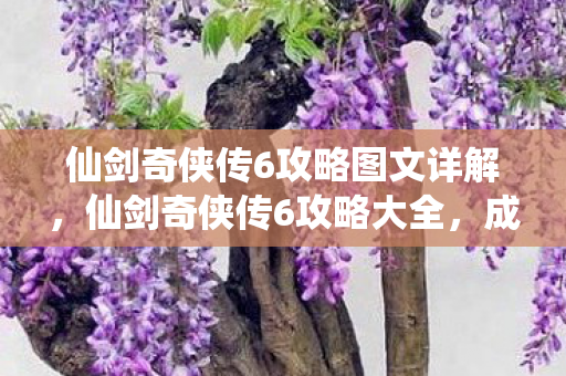 仙剑奇侠传6攻略图文详解，仙剑奇侠传6攻略大全，成为顶尖高手的秘籍