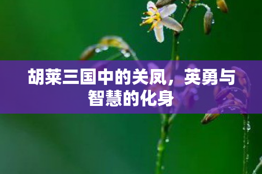 胡莱三国中的关凤，英勇与智慧的化身