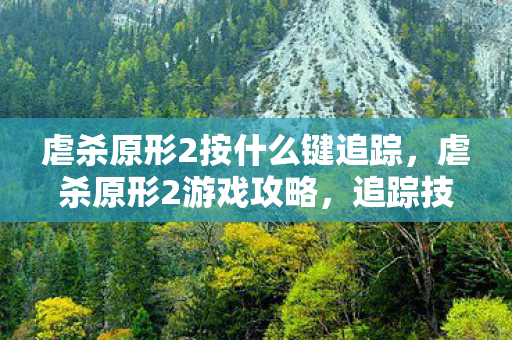 虐杀原形2按什么键追踪，虐杀原形2游戏攻略，追踪技巧大揭秘