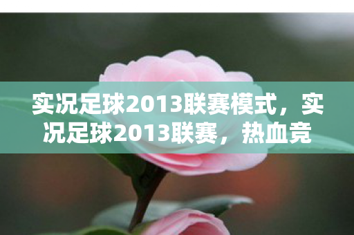 实况足球2013联赛模式，实况足球2013联赛，热血竞技，英雄荣耀