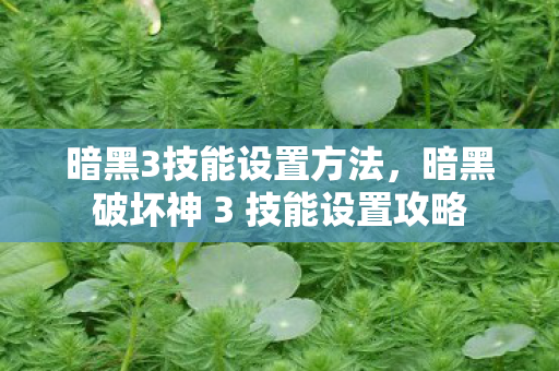 暗黑3技能设置方法，暗黑破坏神 3 技能设置攻略