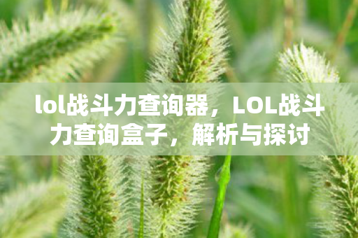 lol战斗力查询器，LOL战斗力查询盒子，解析与探讨