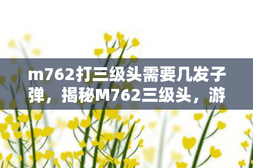 m762打三级头需要几发子弹，揭秘M762三级头，游戏中的致命打击利器