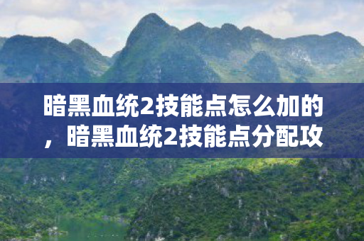 暗黑血统2技能点怎么加的，暗黑血统2技能点分配攻略