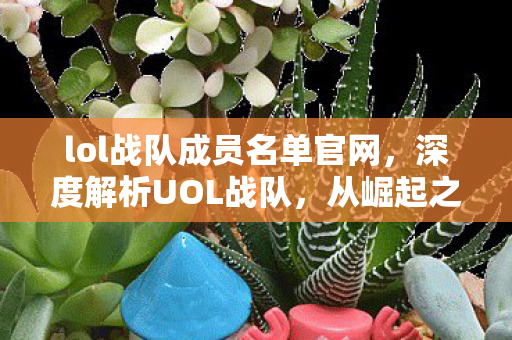 lol战队成员名单官网，深度解析UOL战队，从崛起之路看电竞新势力的发展与挑战