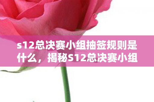 s12总决赛小组抽签规则是什么，揭秘S12总决赛小组抽签规则，一场策略与运气的较量