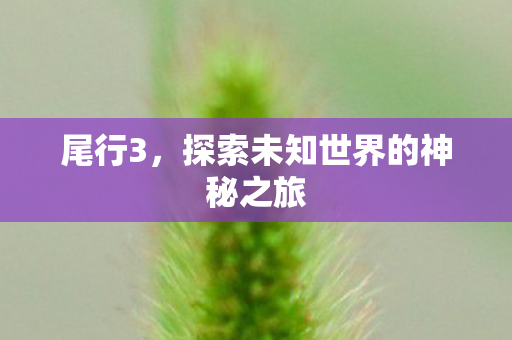 尾行3，探索未知世界的神秘之旅