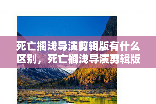 死亡搁浅导演剪辑版有什么区别，死亡搁浅导演剪辑版，深度解析与游戏新体验