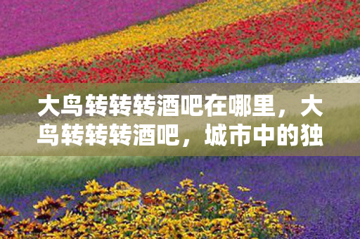 大鸟转转转酒吧在哪里，大鸟转转转酒吧，城市中的独特休闲空间