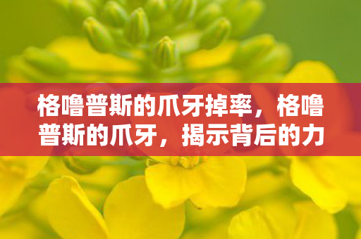 格噜普斯的爪牙掉率，格噜普斯的爪牙，揭示背后的力量与秘密
