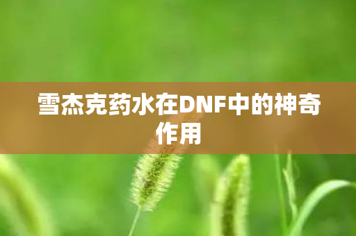 雪杰克药水在DNF中的神奇作用