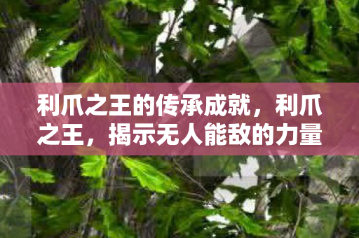 利爪之王的传承成就，利爪之王，揭示无人能敌的力量之源