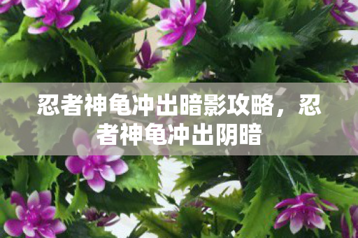 忍者神龟冲出暗影攻略，忍者神龟冲出阴暗