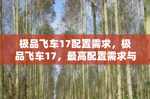 极品飞车17配置需求，极品飞车17，最高配置需求与游戏体验