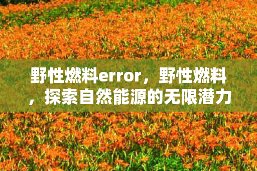野性燃料error，野性燃料，探索自然能源的无限潜力