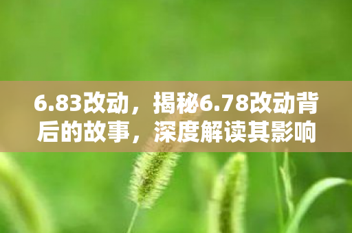 6.83改动，揭秘6.78改动背后的故事，深度解读其影响及未来展望