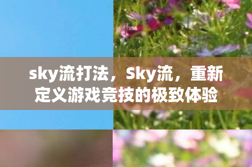 sky流打法，Sky流，重新定义游戏竞技的极致体验