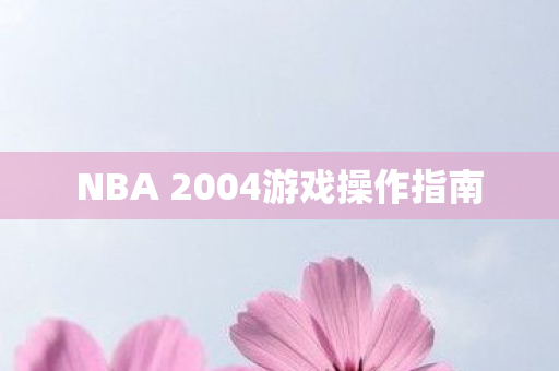 NBA 2004游戏操作指南
