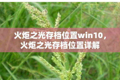 火炬之光存档位置win10，火炬之光存档位置详解