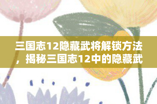 三国志12隐藏武将解锁方法，揭秘三国志12中的隐藏武将，探寻未知英雄传奇