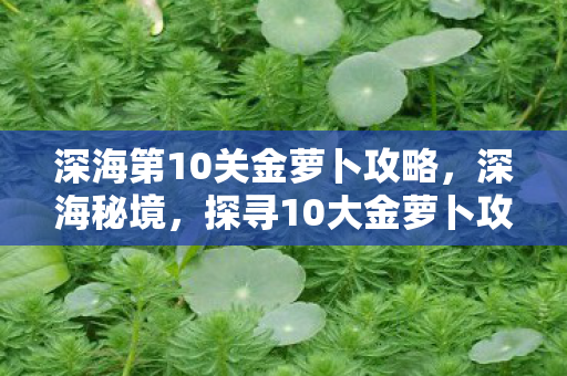 深海第10关金萝卜攻略，深海秘境，探寻10大金萝卜攻略