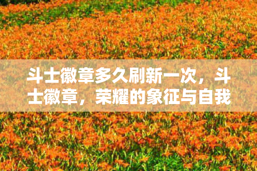 斗士徽章多久刷新一次，斗士徽章，荣耀的象征与自我挑战的精神