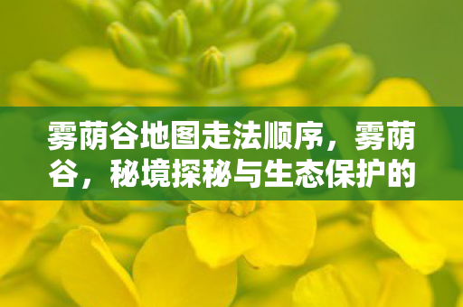 雾荫谷地图走法顺序，雾荫谷，秘境探秘与生态保护的重要篇章